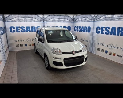 Fiat Pandina 1.0 firefly hybrid Pop s&s 65cv nuova