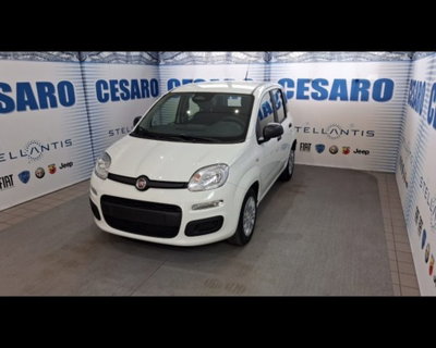 Fiat Pandina 1.0 firefly hybrid Pop s&s 65cv (2)