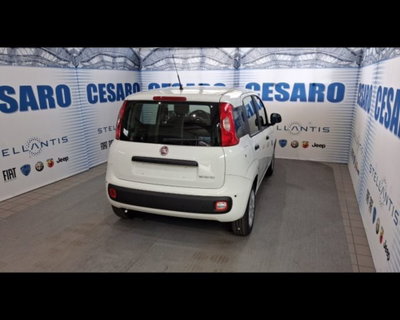 Fiat Pandina 1.0 firefly hybrid Pop s&s 65cv (3)