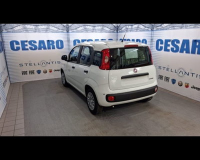 Fiat Pandina 1.0 firefly hybrid Pop s&s 65cv (4)