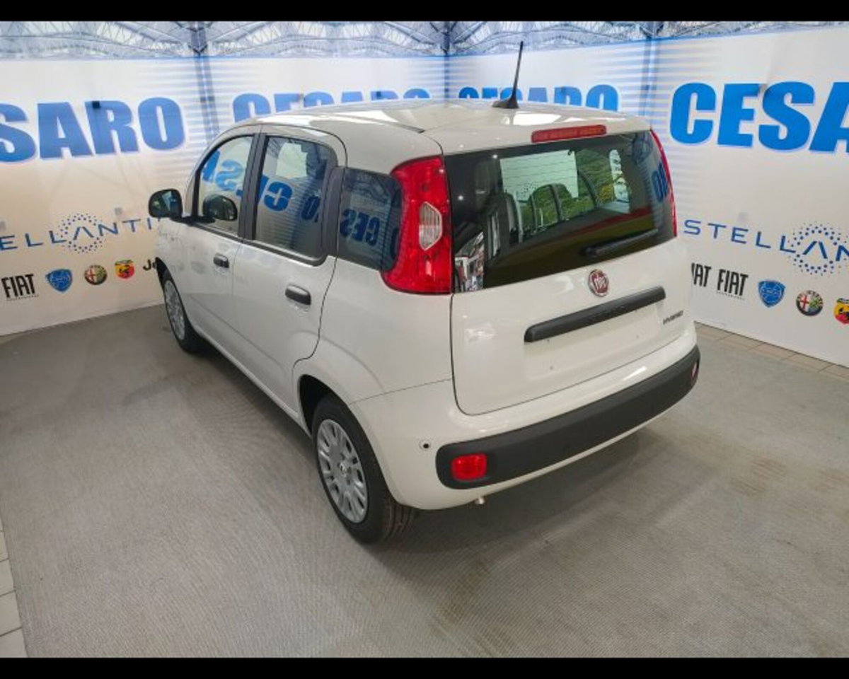 Fiat Panda 1.0 firefly hybrid s&s 70cv 5p.ti (4)