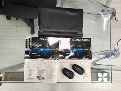 Opel Grandland X 2.0 diesel Ecotec Start&Stop aut. Ultimate (15)