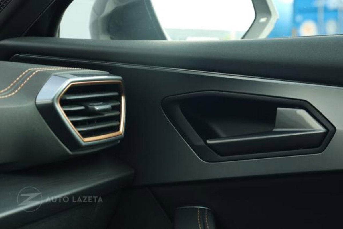 Cupra Formentor Formentor 2.0 TDI (10)