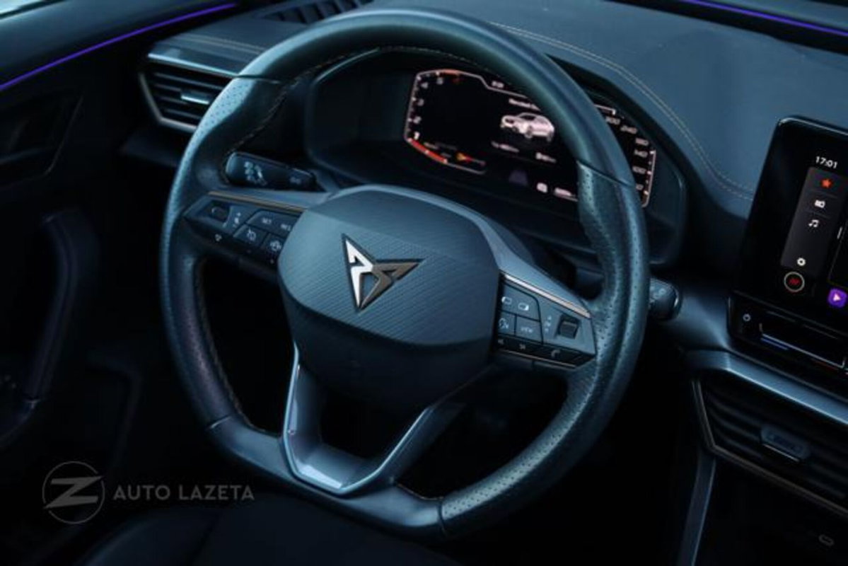 Cupra Formentor Formentor 2.0 TDI (14)