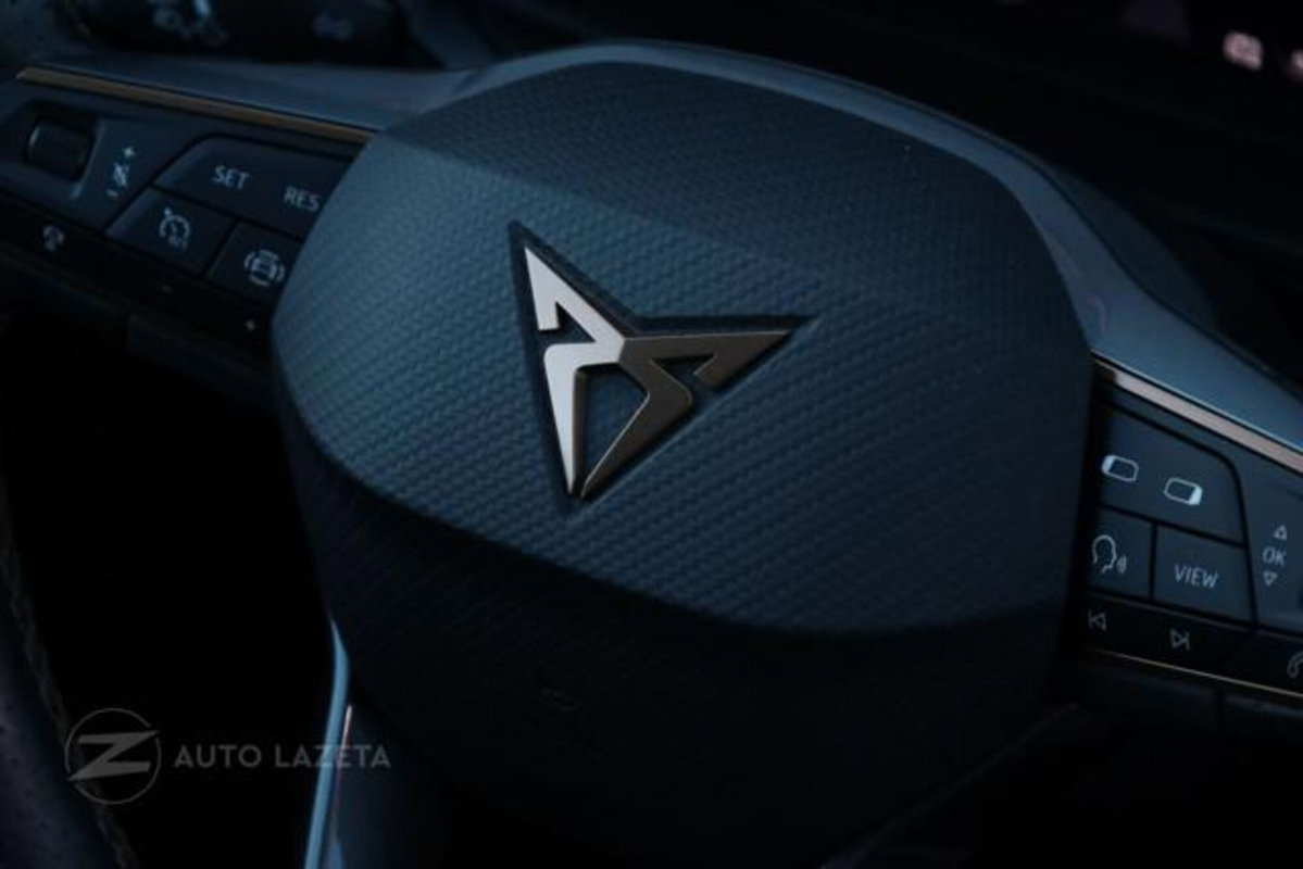 Cupra Formentor Formentor 2.0 TDI (15)