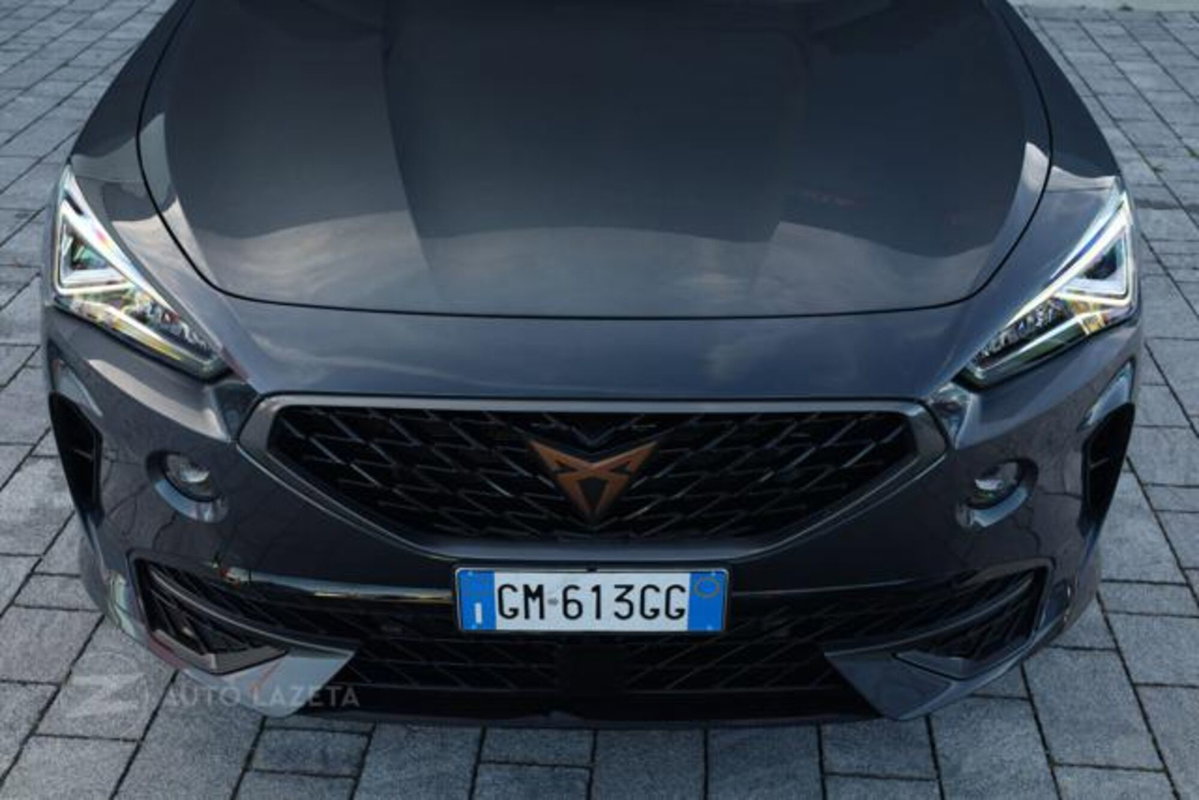 Cupra Formentor Formentor 2.0 TDI (17)