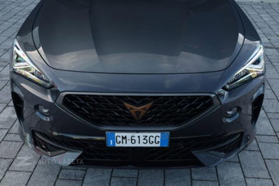Cupra Formentor Formentor 2.0 TDI (17)