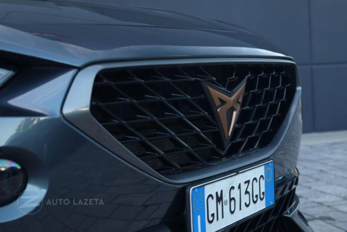 Cupra Formentor Formentor 2.0 TDI (18)