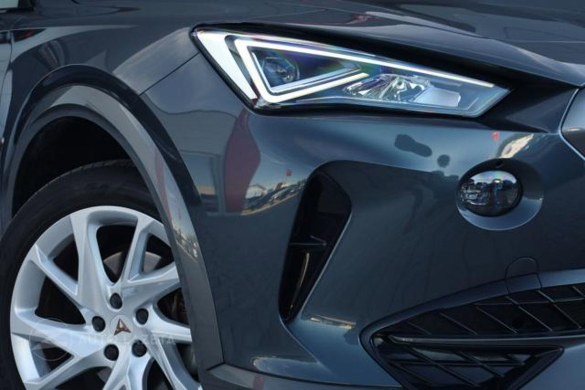 Cupra Formentor Formentor 2.0 TDI (19)