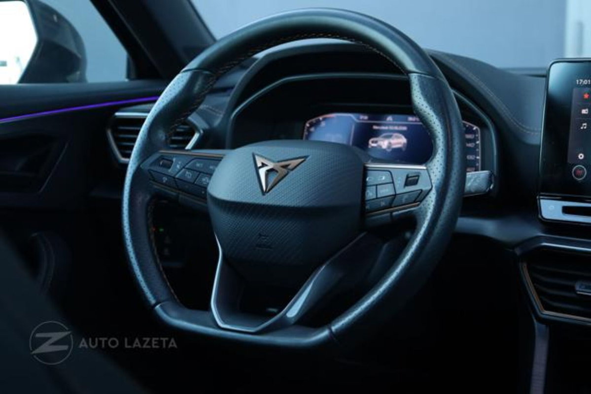 Cupra Formentor Formentor 2.0 TDI (9)