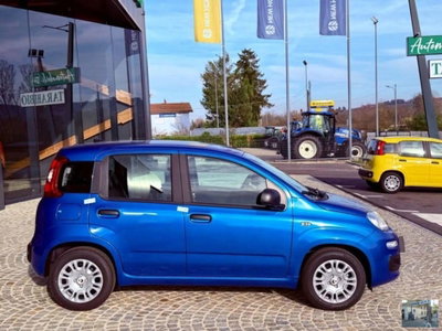 Fiat Panda 1.0 FireFly S&S Hybrid Launch Edition (10)