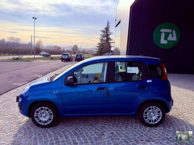 Fiat Panda 1.0 FireFly S&S Hybrid Launch Edition (9)