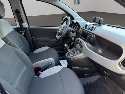 Fiat Panda 1.0 firefly hybrid s&s 70cv 5p.ti (10)