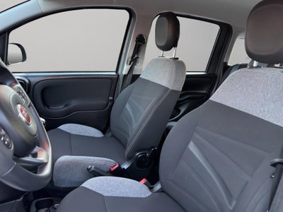 Fiat Panda 1.0 firefly hybrid s&s 70cv 5p.ti (16)