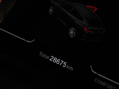 BMW X4 xDrive20d 48V Msport (7)