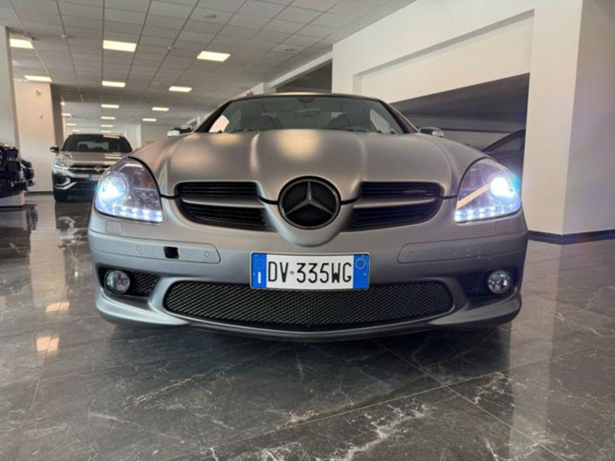 Mercedes-Benz SLK 350 cat (10)