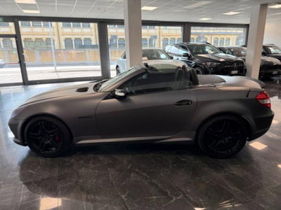 Mercedes-Benz SLK 350 cat (11)