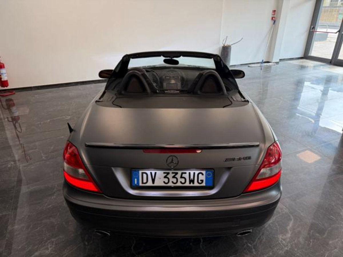 Mercedes-Benz SLK 350 cat (12)