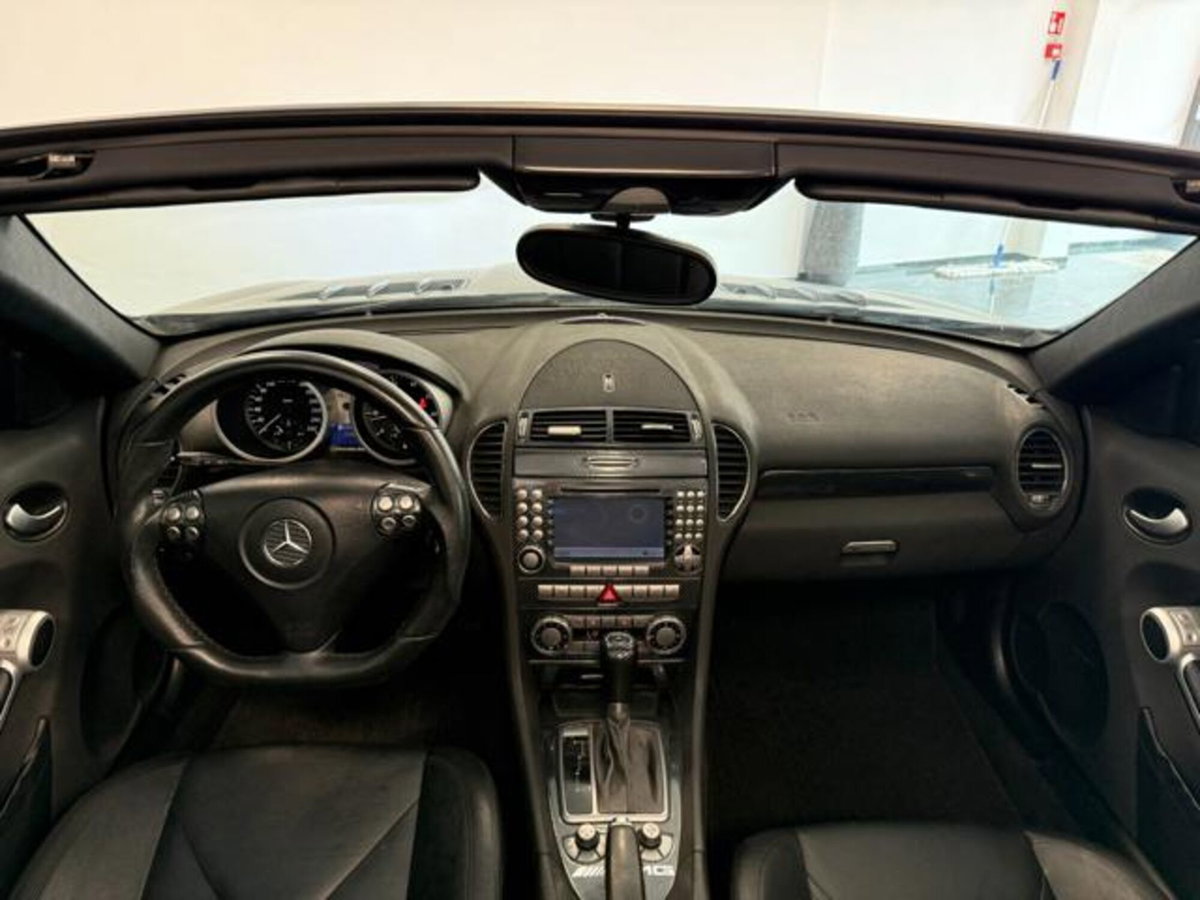 Mercedes-Benz SLK 350 cat (14)