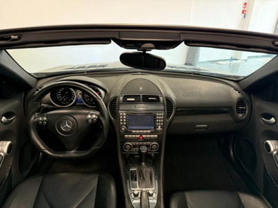 Mercedes-Benz SLK 350 cat (14)