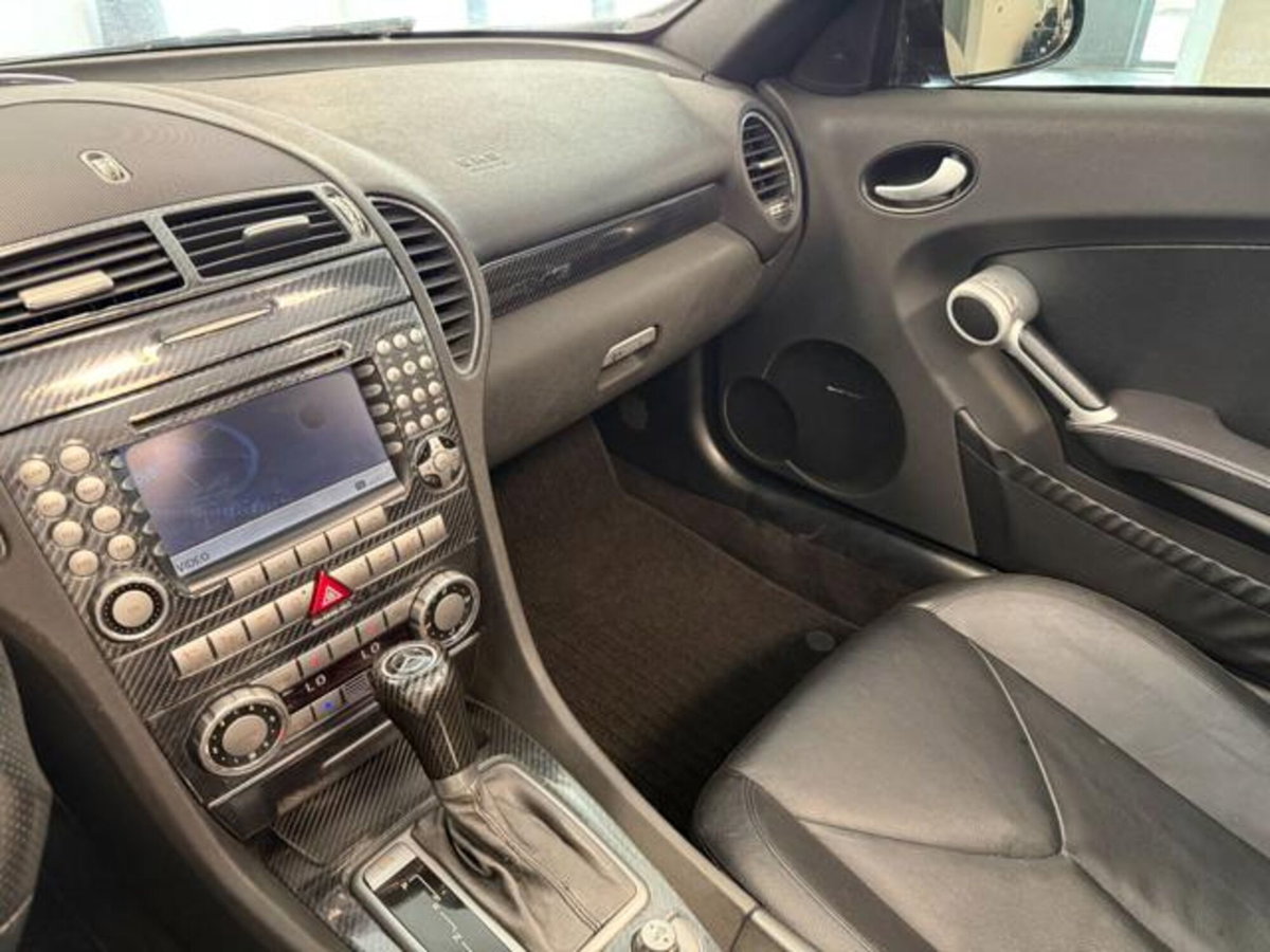 Mercedes-Benz SLK 350 cat (17)