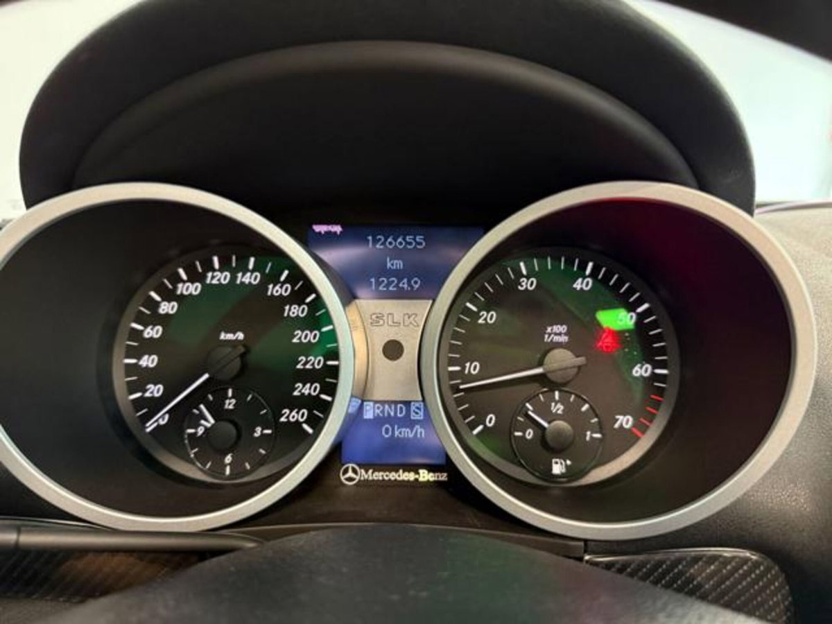 Mercedes-Benz SLK 350 cat (18)