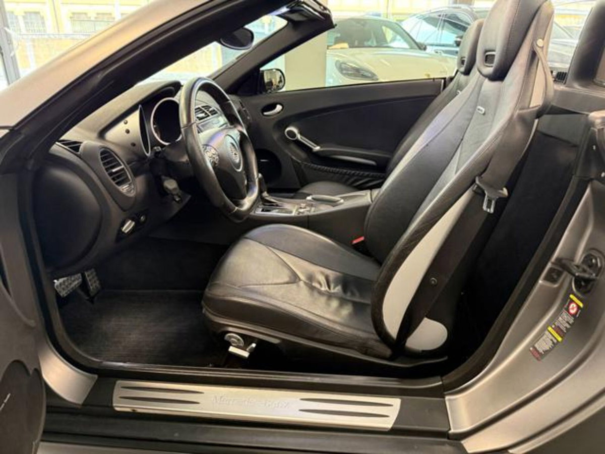 Mercedes-Benz SLK 350 cat (19)