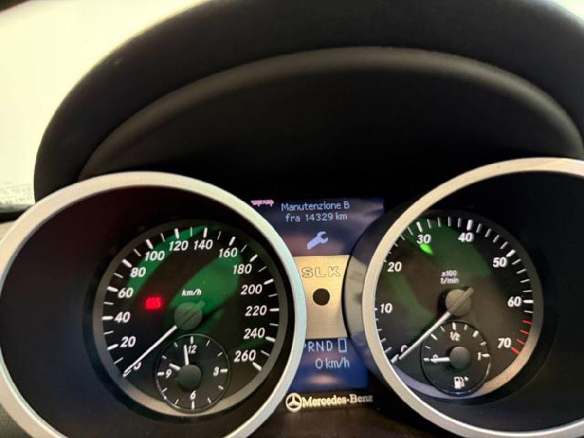 Mercedes-Benz SLK 350 cat (20)