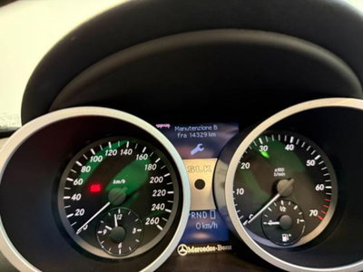 Mercedes-Benz SLK 350 cat (20)