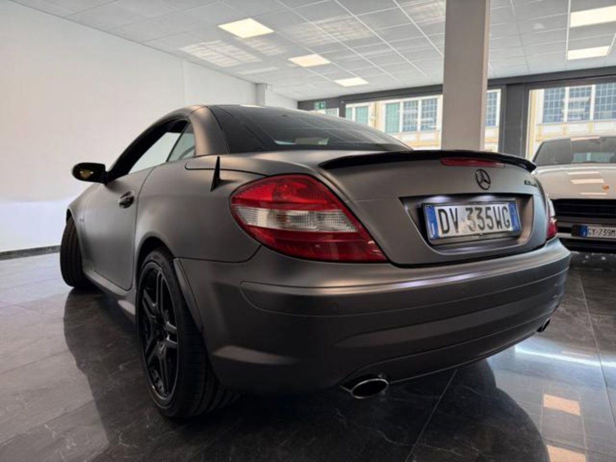 Mercedes-Benz SLK 350 cat (3)