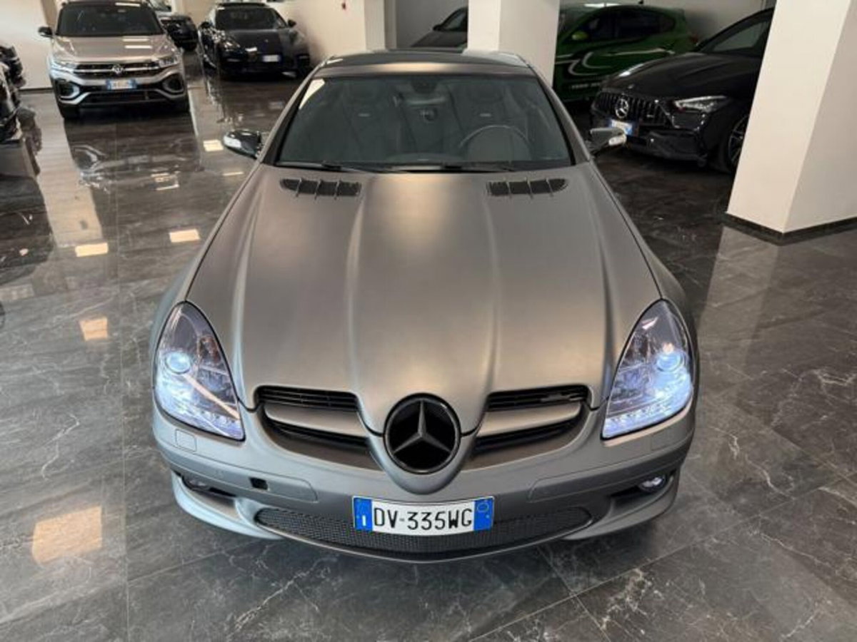 Mercedes-Benz SLK 350 cat (9)