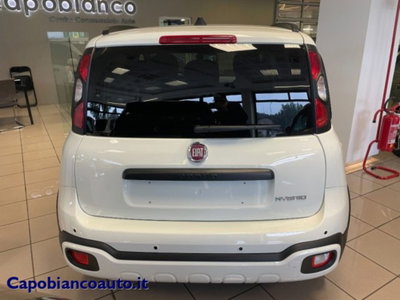 Fiat Panda Cross 1.0 firefly hybrid Cross s&s 70cv 5p.ti (4)