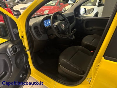 Fiat Panda 1.0 firefly hybrid s&s 70cv 5p.ti (10)