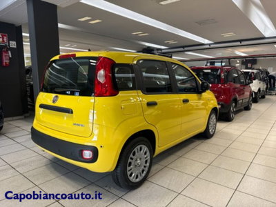 Fiat Panda 1.0 firefly hybrid s&s 70cv 5p.ti (6)