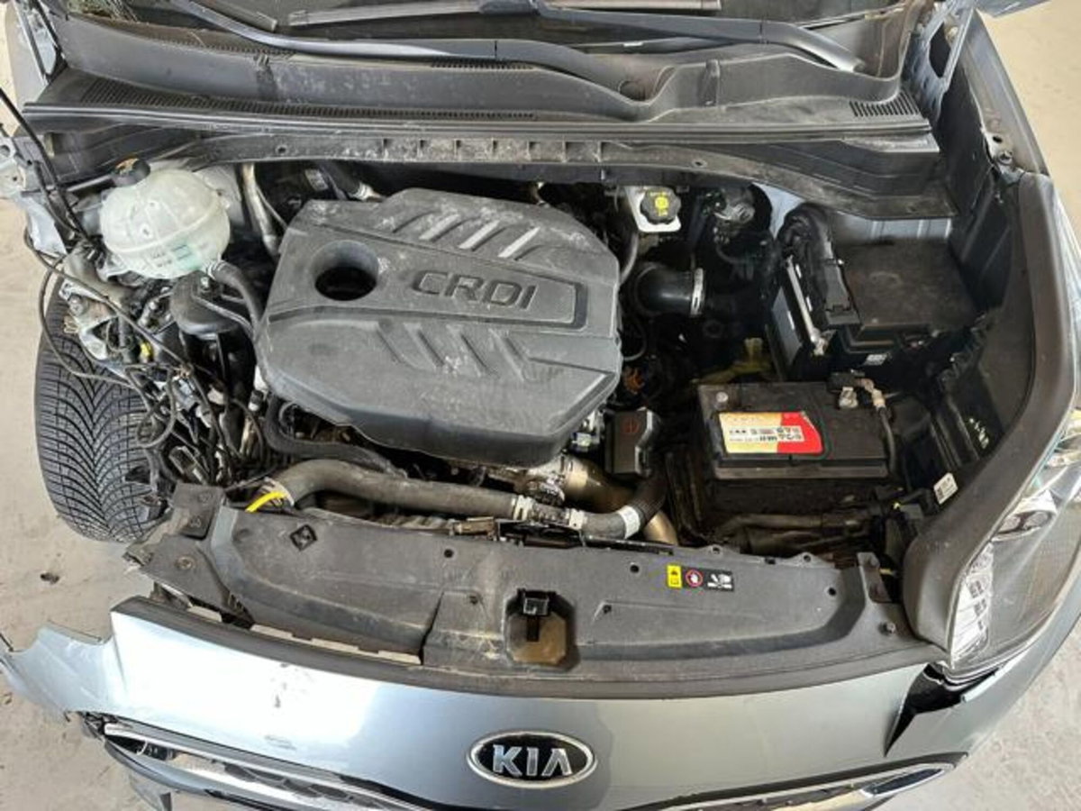 Kia Sportage 1.6 CRDI 136 CV DCT7 2WD Mild Hybrid Business Class (9)