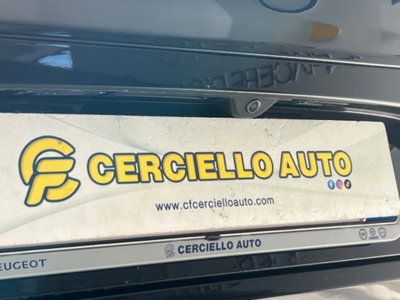 Alfa Romeo Stelvio Stelvio 2.2 Turbodiesel 210 CV AT8 Q4 Ti (20)