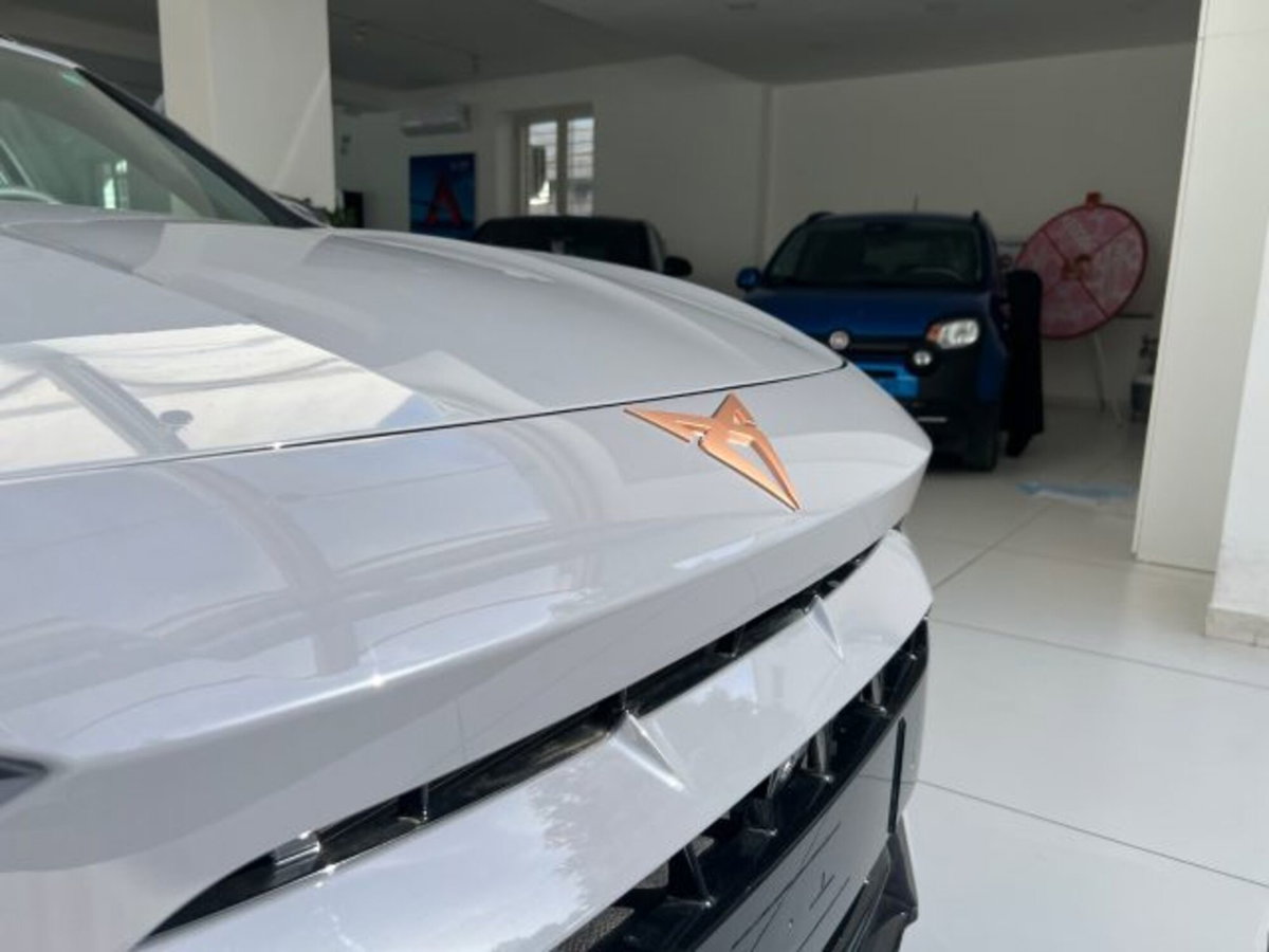 Cupra Formentor Formentor 1.5 TSI (10)