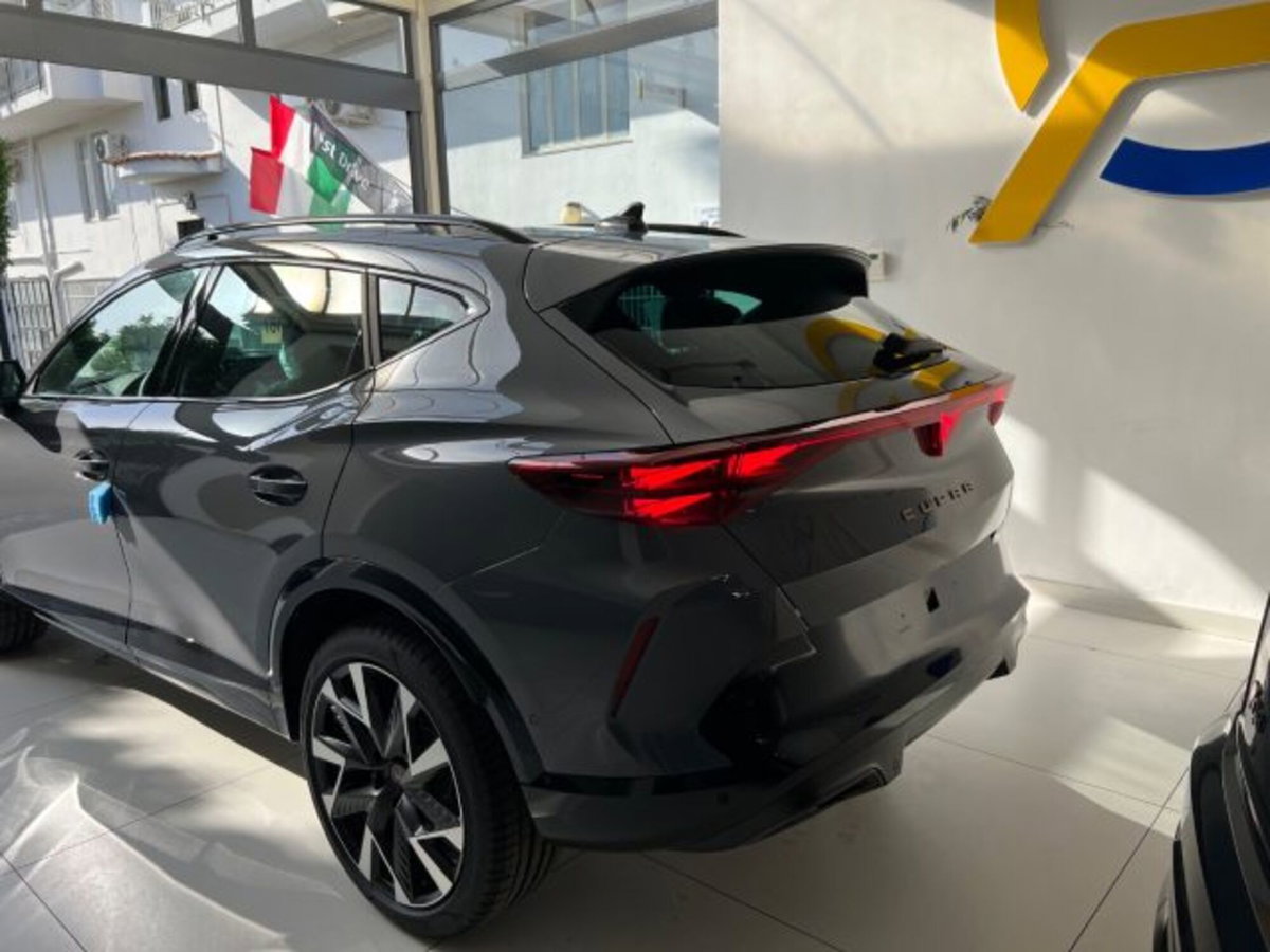 Cupra Formentor Formentor 1.5 TSI (16)