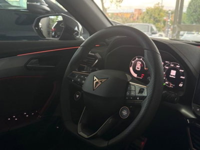 Cupra Formentor 2.0 tdi Dark Night 150cv dsg (14)