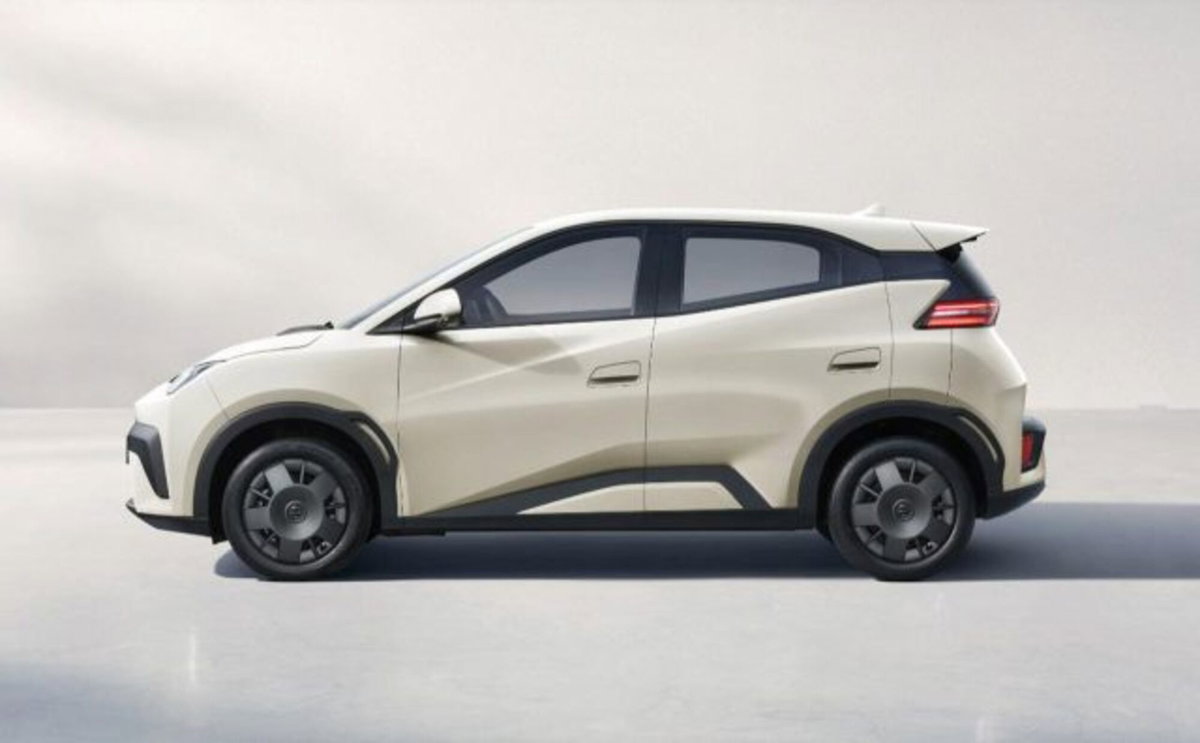 Byd Dolphin Surf 30 kWh Active (3)