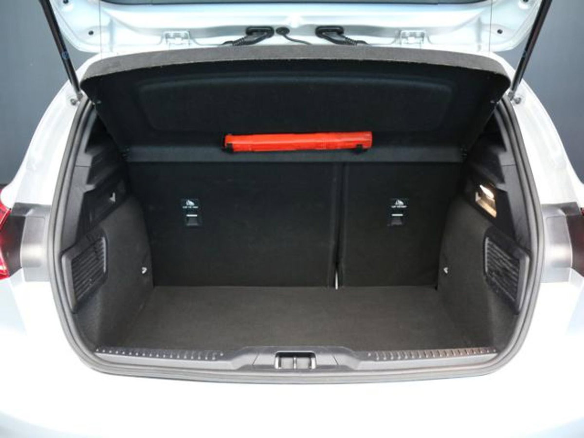 Ford Focus 1.5 EcoBlue 115 CV automatico 5p. ST-Line Style (7)