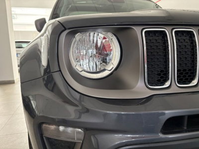 Jeep Renegade 1.3 T4 DDCT Limited (16)
