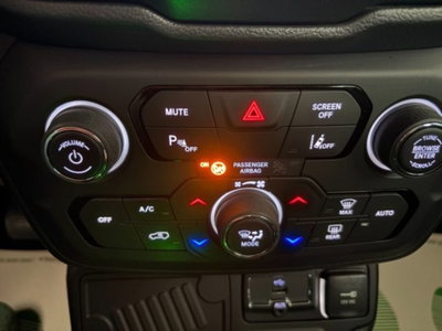 Jeep Renegade 1.3 T4 DDCT Limited (8)