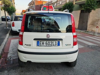 Fiat Panda 1.4 Dynamic Natural Power Mamy (11)