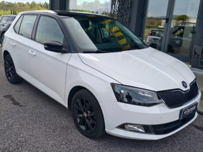 Skoda Fabia 1.4 TDI 75 CV Monte Carlo (2)