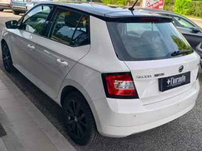 Skoda Fabia 1.4 TDI 75 CV Monte Carlo (5)