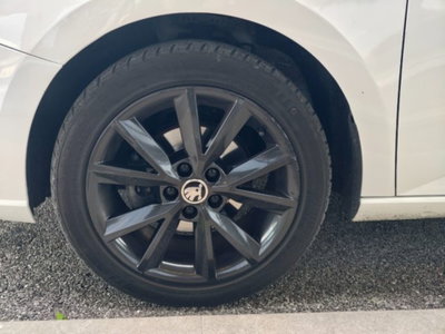Skoda Fabia 1.4 TDI 75 CV Monte Carlo (7)
