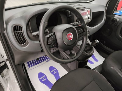 Fiat Panda Cross Cross 1.0 FireFly S&S Hybrid (4)