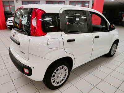 Fiat Panda Cross Cross 1.0 FireFly S&S Hybrid (3)