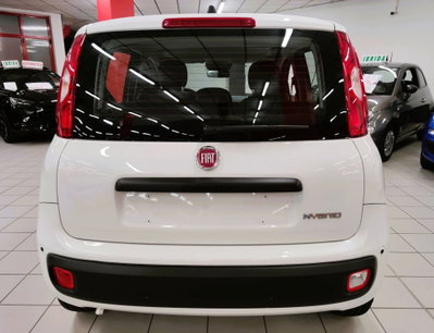 Fiat Panda Cross Cross 1.0 FireFly S&S Hybrid (4)